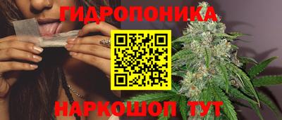прущие крисы Гусев