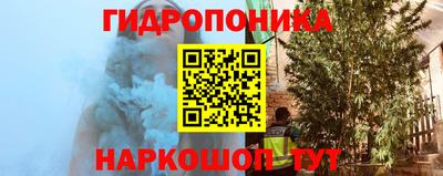 прущие крисы Гусев